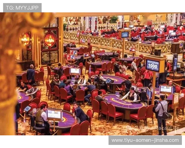 澳门有几家赌厅如何识别正规合法的赌厅保障玩家权益的实用指南澳门赌厅的安全措施与防范诈骗的有效方法介绍